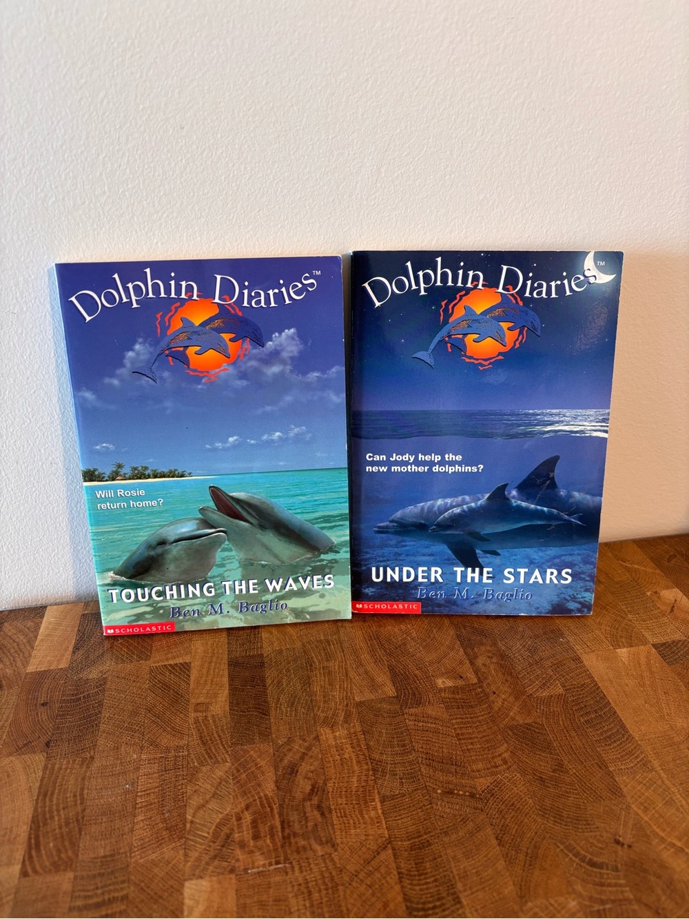 Dolphin Diaries Book Set — Touching the Waves & Under the Stars 90s Chapter Book